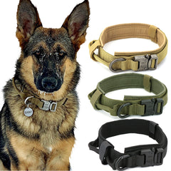 Heavy Duty Nylon Dog Collar