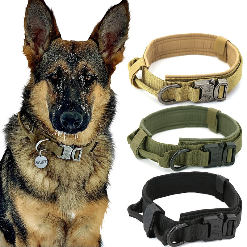 Heavy Duty Nylon Dog Collar