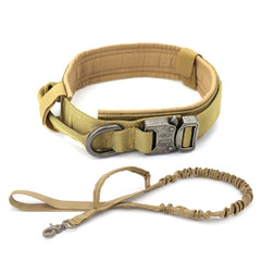 Heavy Duty Nylon Dog Collar