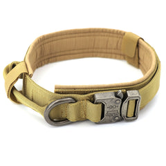 Heavy Duty Nylon Dog Collar