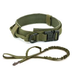 Heavy Duty Nylon Dog Collar