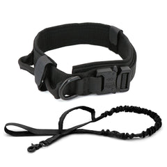 Heavy Duty Nylon Dog Collar